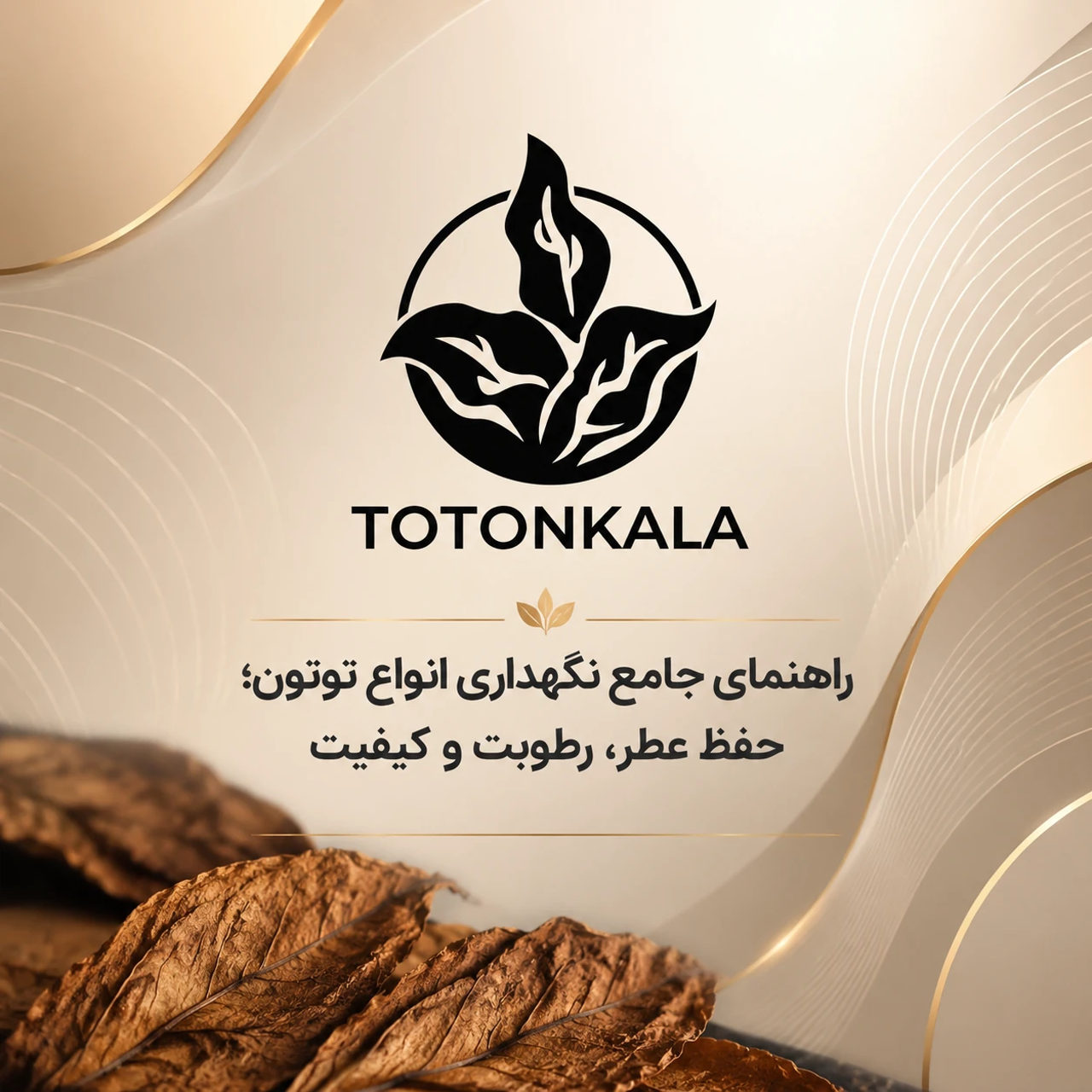 راهنمای جامع نگهداری انواع توتون؛ حفظ عطر، رطوبت و کیفیت